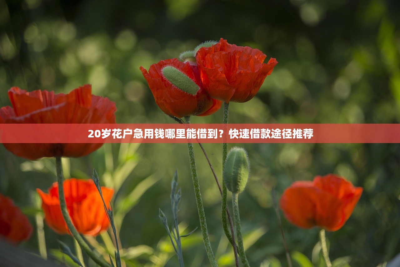 哪里可以无视征信借款5千？急需小额快速放款渠道