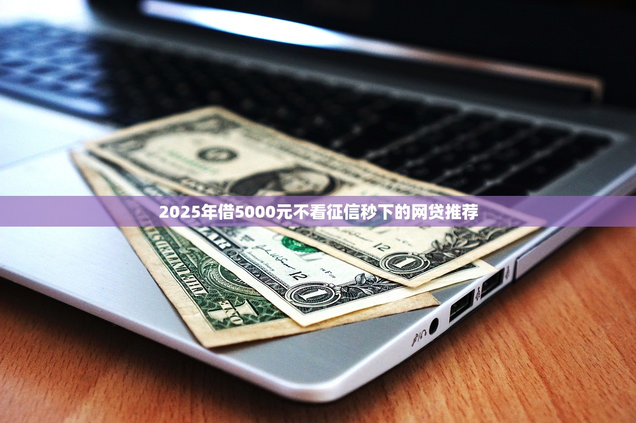 2025好下款快的5个贷款口子