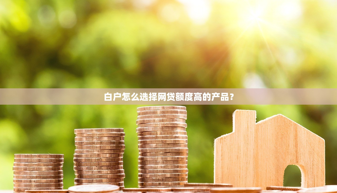 2025高炮口子秒下款，盘点五个贷款公司平台