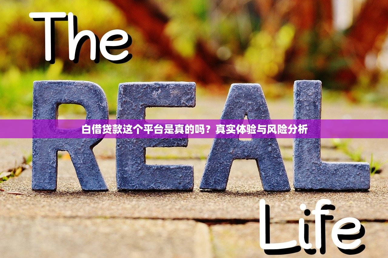 黑户必看哪个口子容易下款