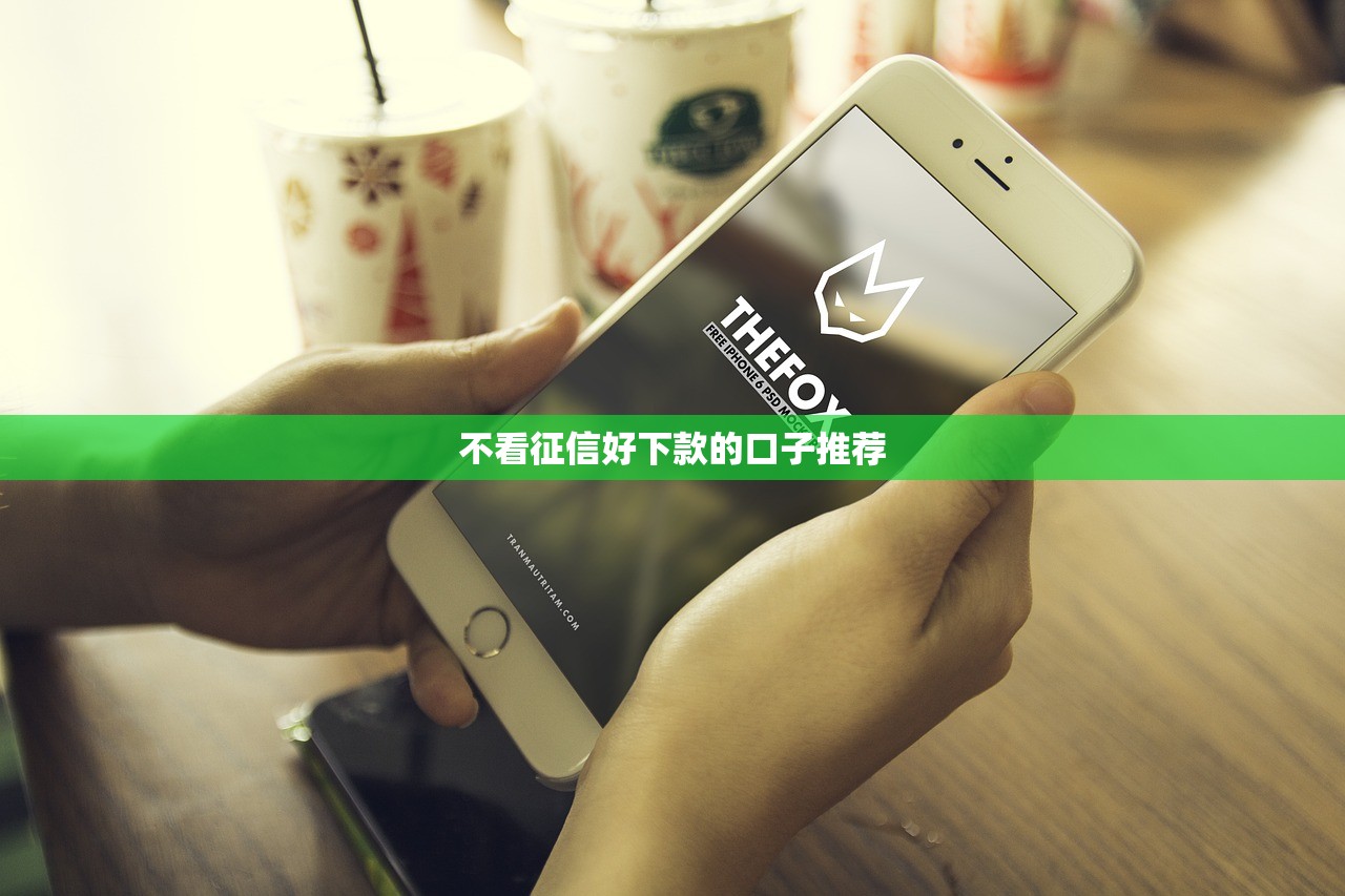 自动白条是正规贷款平台吗？深度解析其资质与安全性