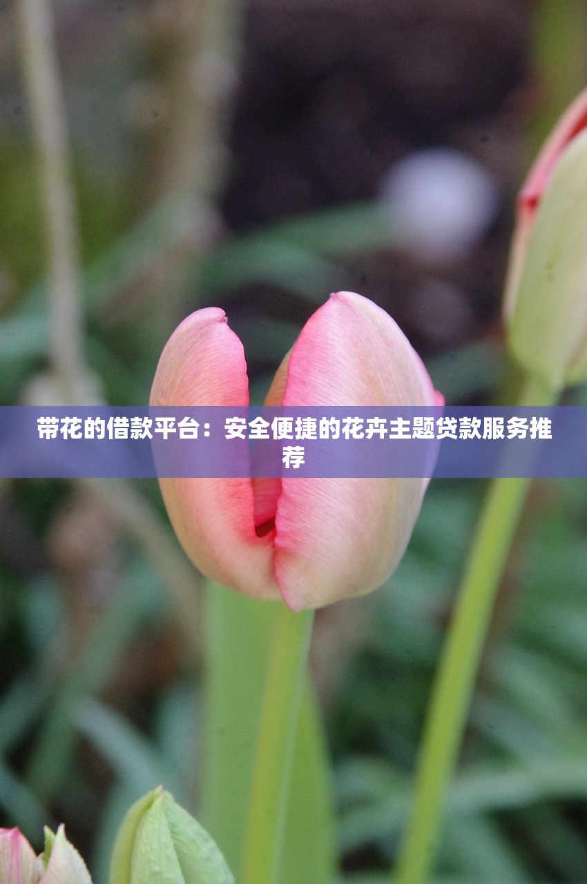 夜间放款口子有哪些，总结五个最新黑户下款的口子