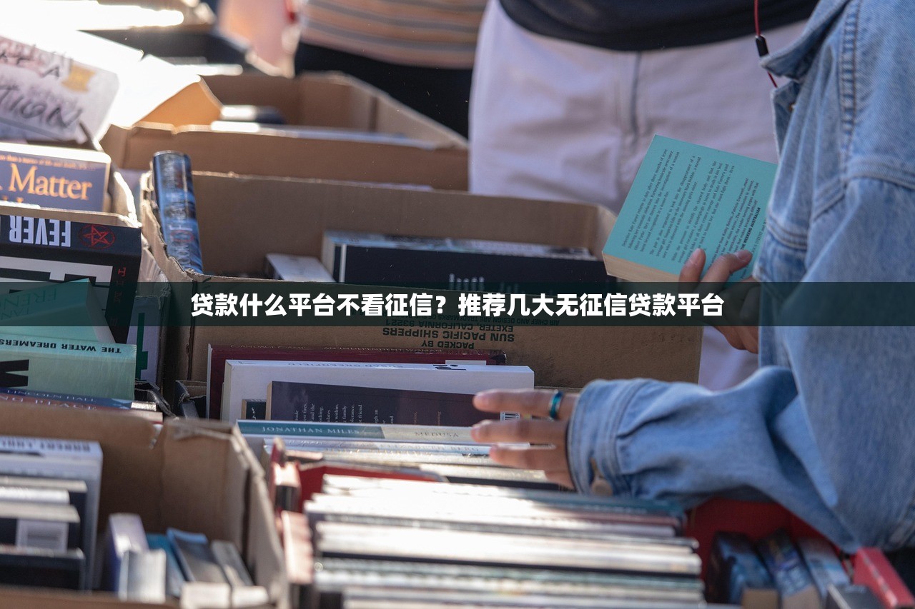 放款快的口子有哪些，五大黑户100%秒下款的平台