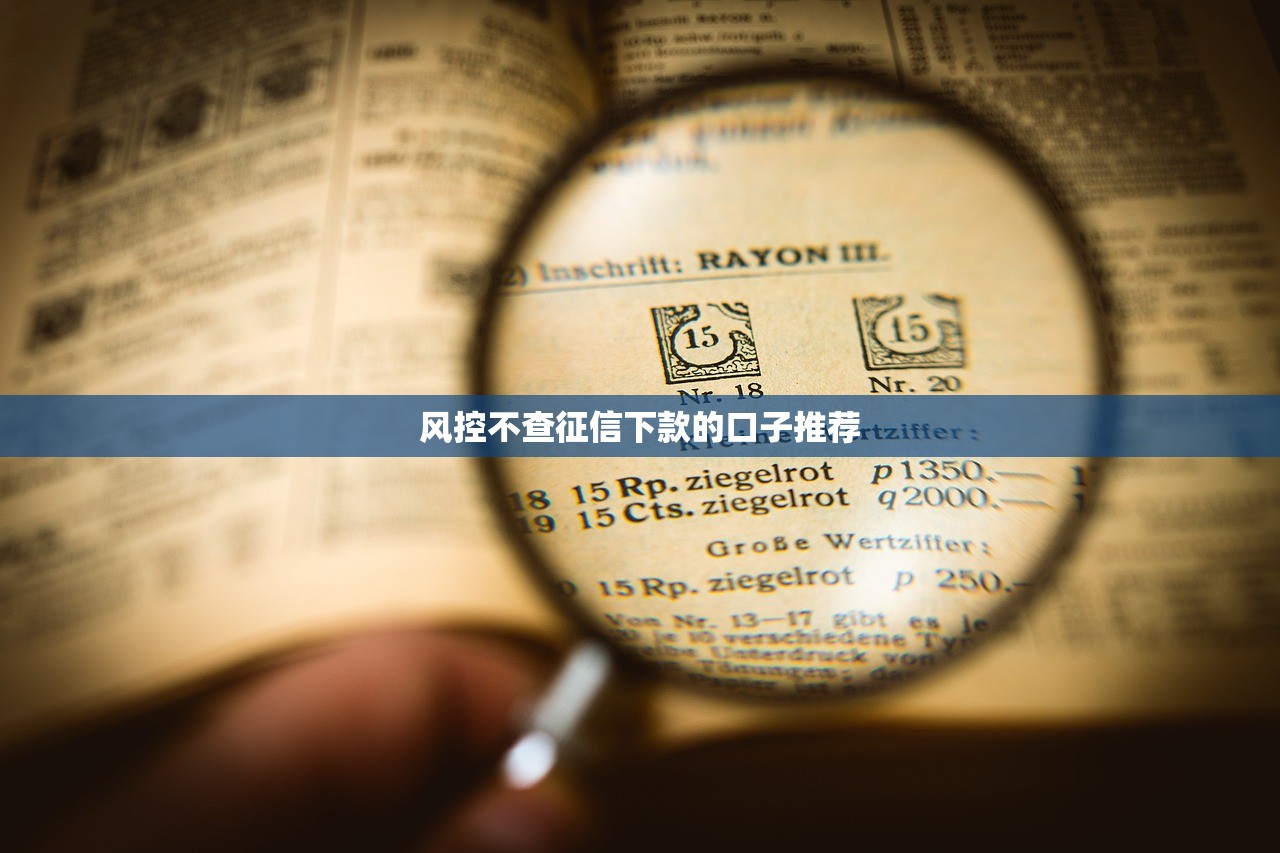 2024买会员即可贷款平台盘点