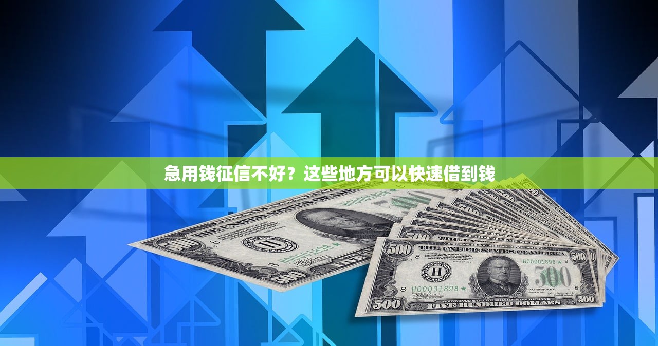 贷款平台破产后怎么办？这6个应对步骤要牢记