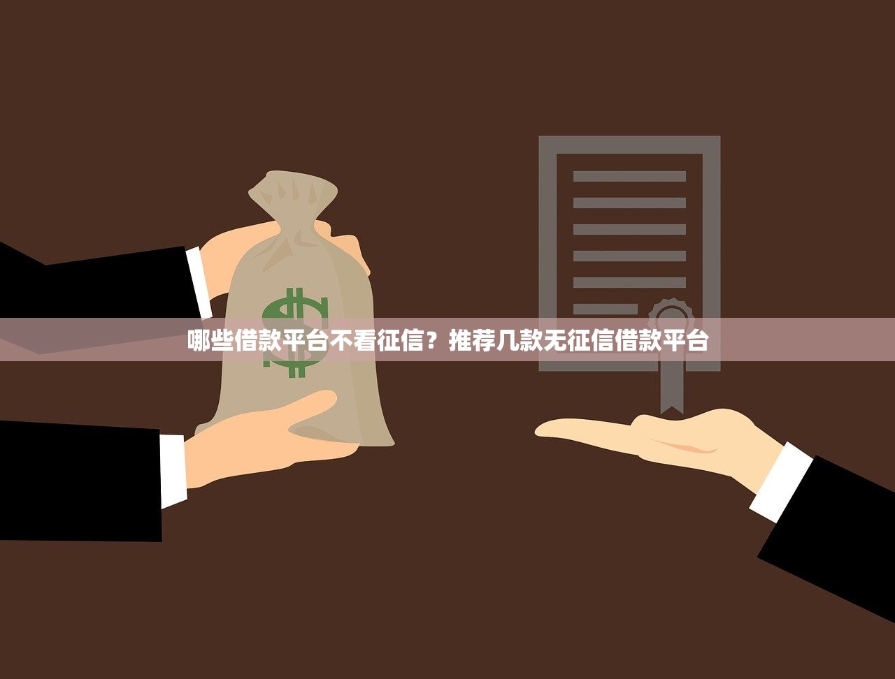 2025年无视征信贷款平台实测