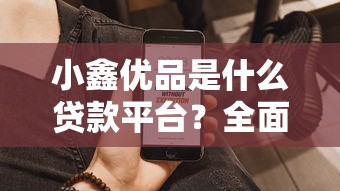 小鑫优品是什么贷款平台？全面解析产品特点、申请流程及用户评价