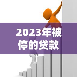 2023年被停的贷款平台名单及应对措施解析