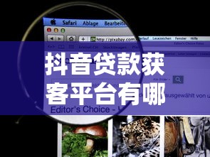 抖音贷款获客平台有哪些？十大靠谱渠道推荐