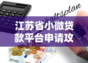 江苏省小微贷款平台申请攻略：政策解读与操作指南