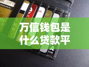 万信钱包是什么贷款平台？详细解析其特点与申请流程