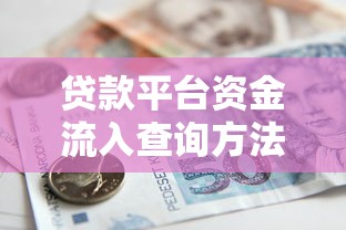 贷款平台资金流入查询方法全解析
