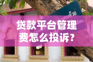 正规借钱平台有哪些，汇总五个1000口子秒下