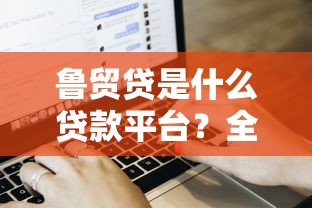 鲁贸贷是什么贷款平台？全面解析产品特点、申请流程及用户评价