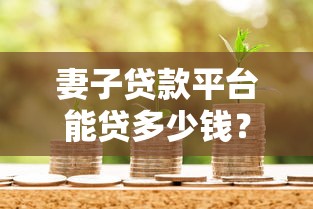 诚易贷是正规贷款平台吗？全面解析资质、风控与用户口碑