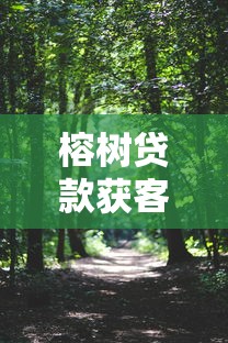 榕树贷款获客平台怎么样?深度解析其优势与使用技巧 榕树贷款获客平台怎么样?深度解析其优势与使用技巧