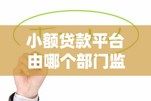 小额贷款平台由哪个部门监管？贷款人必看管辖规则