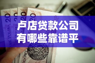 卢店贷款公司有哪些靠谱平台？这10家机构值得优先考虑