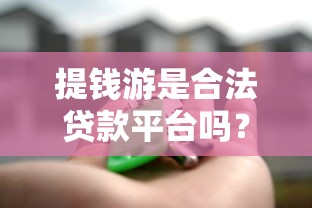 提钱游是合法贷款平台吗？贷款用户必看的安全使用指南