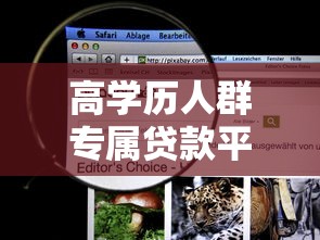 高学历人群专属贷款平台有哪些？这10家机构审核更宽松