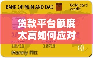 贷款平台额度太高如何应对？5招教你合理规划避免负债风险