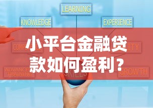 小平台金融贷款如何盈利？揭秘5大核心模式与运营策略