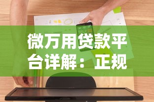 微万用贷款平台详解：正规性、申请流程及用户评价全解析