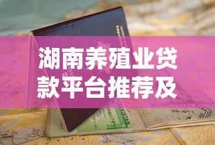 湖南养殖业贷款平台推荐及申请指南