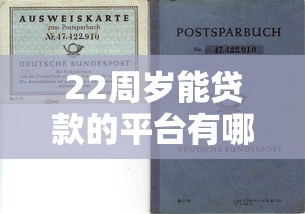 最新信用卡可以贷款的平台有哪些！9月细说​这5个信用卡借钱网贷口子可以贷款