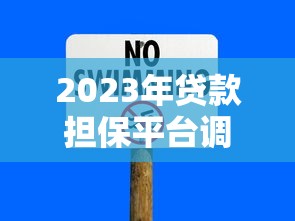 2023年贷款担保平台调查报告：风险与机遇深度解析