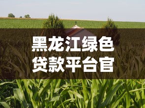 贷款扣款平台查询指南：快速识别不明扣款来源