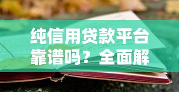 纯信用贷款平台靠谱吗？全面解析优势、风险及选择技巧
