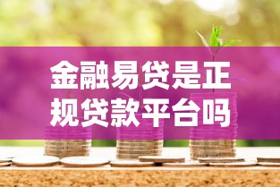 金融易贷是正规贷款平台吗？深度解析贷款资质与风险