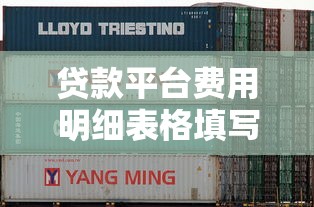 贷款平台费用明细表格填写指南：5步搞定不踩坑