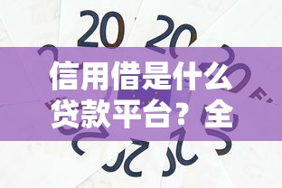 信用借是什么贷款平台?全面解析信用贷款平台的优势与使用技巧 信用借是什么贷款平台?全面解析信用贷款平台的优势与使用技巧