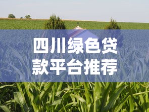 四川绿色贷款平台推荐及申请指南