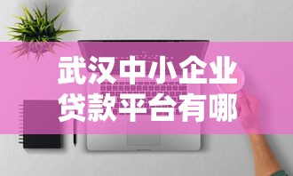 武汉中小企业贷款平台有哪些?靠谱推荐+申请攻略 武汉中小企业贷款平台有哪些?靠谱推荐+申请攻略