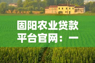 小额借贷平台不看征信必知​这5个！本文为您全面展示！_1