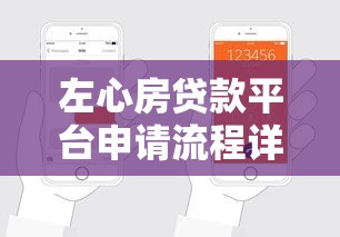 左心房贷款平台申请流程详解：手把手教你快速借款