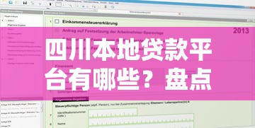 四川本地贷款平台有哪些？盘点10家靠谱机构及申请攻略