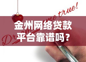 金州网络贷款平台靠谱吗？真实评测与申请攻略全解析