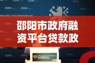 邵阳市政府融资平台贷款政策解析与申请指南