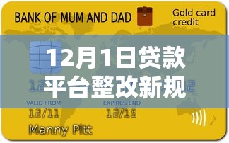 网贷停息挂账申请流程及技巧