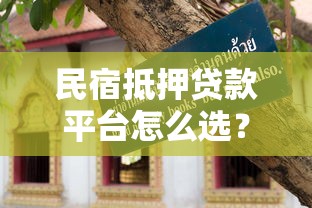 民宿抵押贷款平台怎么选？10年从业者教你避坑指南