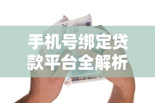 手机号绑定贷款平台全解析：安全借贷必看指南