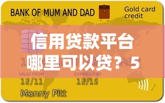 信用贷款平台哪里可以贷？5大靠谱渠道避坑指南