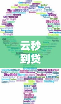 云秒到贷款平台解析：正规性、申请流程及用户评价全指南