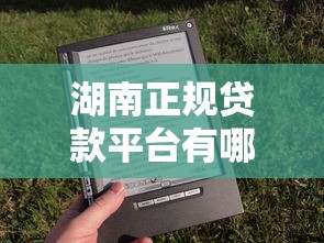比较容易下款的贷款，省内五个网贷平台可以借钱
