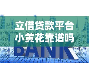 立借贷款平台小黄花靠谱吗？深度解析贷款流程、利率及用户评价