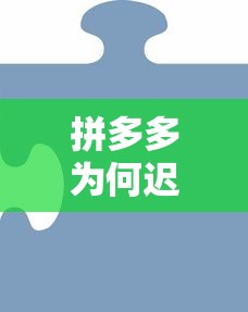 拼多多为何迟迟不推贷款平台？深度解析背后的战略考量